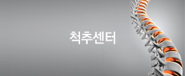 척추센터